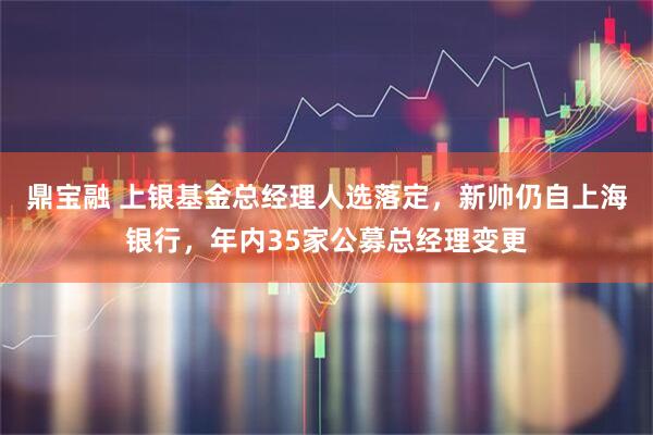 鼎宝融 上银基金总经理人选落定，新帅仍自上海银行，年内35家公募总经理变更