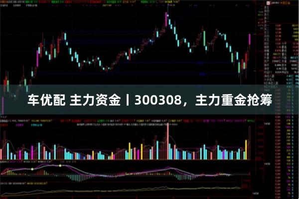 车优配 主力资金丨300308，主力重金抢筹