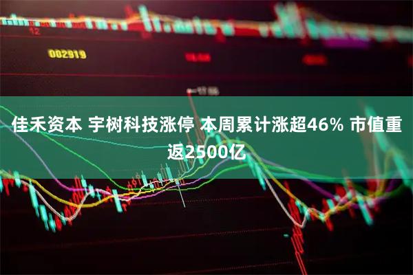 佳禾资本 宇树科技涨停 本周累计涨超46% 市值重返2500亿