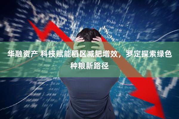 华融资产 科技赋能稻区减肥增效,罗定探索绿色种粮新路径